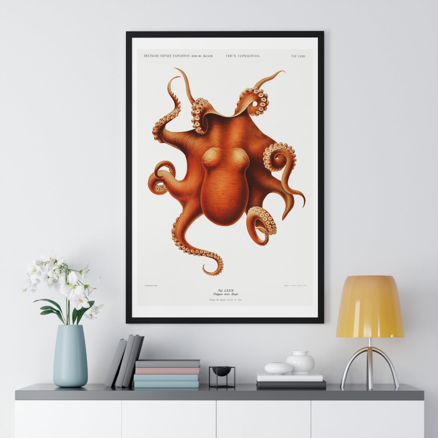 Octopus illlustration from Deutschen Tiefsee-Expedition, German Deep Sea Expedition (1898–1899) by Carl Chun. Framed Poster