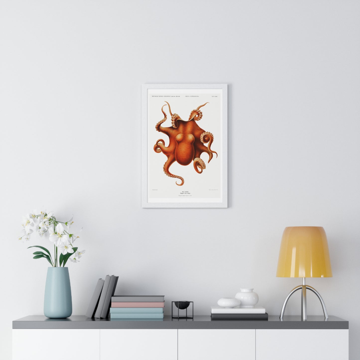 Octopus illlustration from Deutschen Tiefsee-Expedition, German Deep Sea Expedition (1898–1899) by Carl Chun. Framed Poster