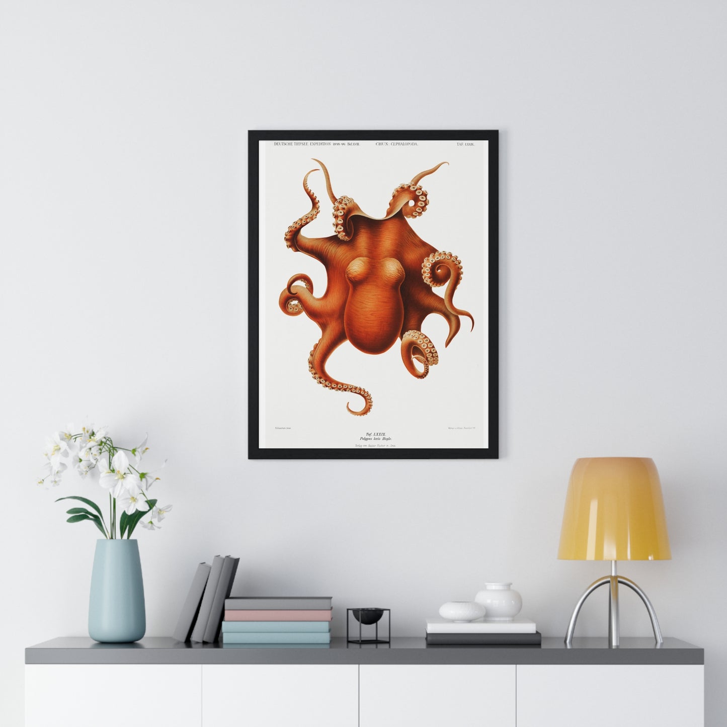 Octopus illlustration from Deutschen Tiefsee-Expedition, German Deep Sea Expedition (1898–1899) by Carl Chun. Framed Poster