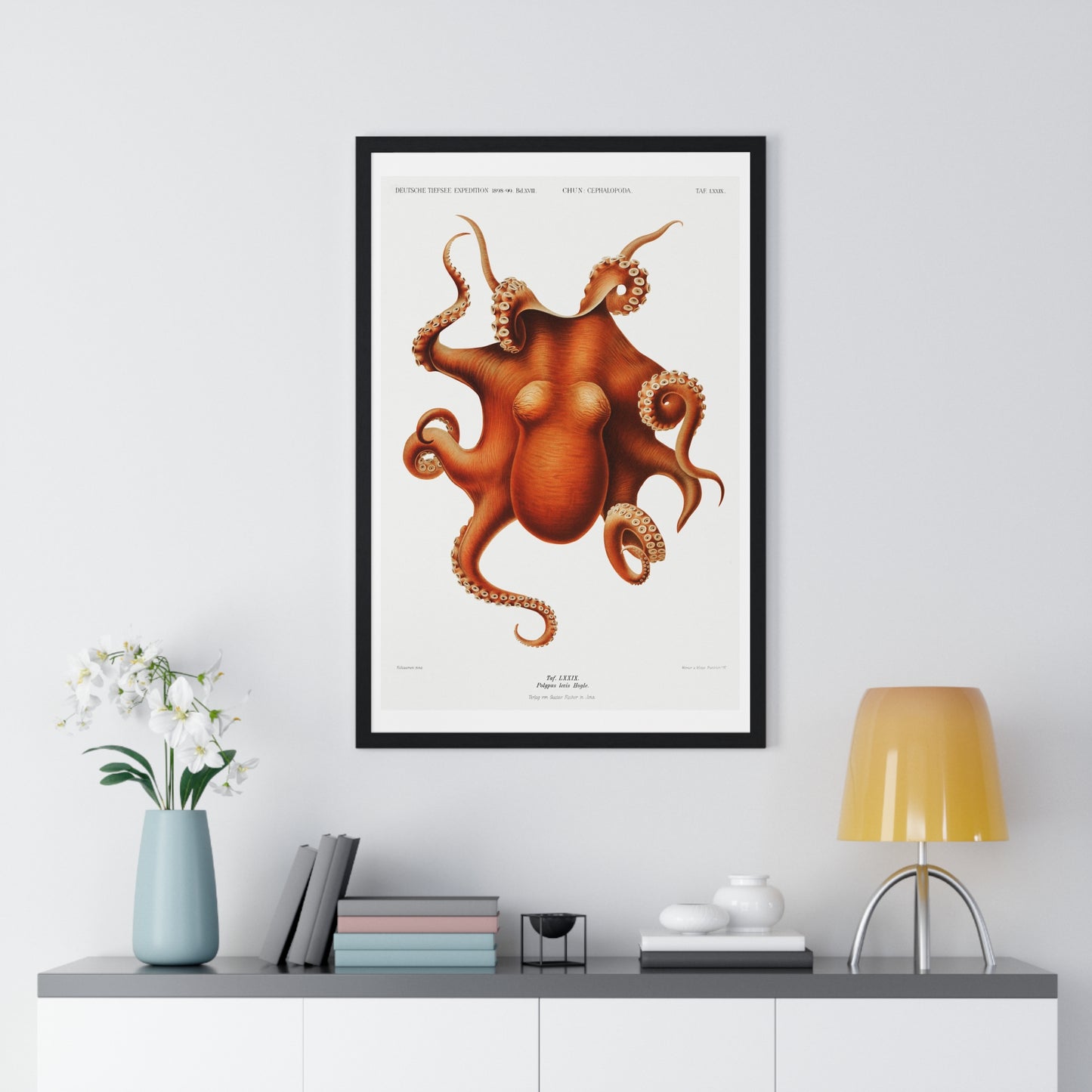 Octopus illlustration from Deutschen Tiefsee-Expedition, German Deep Sea Expedition (1898–1899) by Carl Chun. Framed Poster