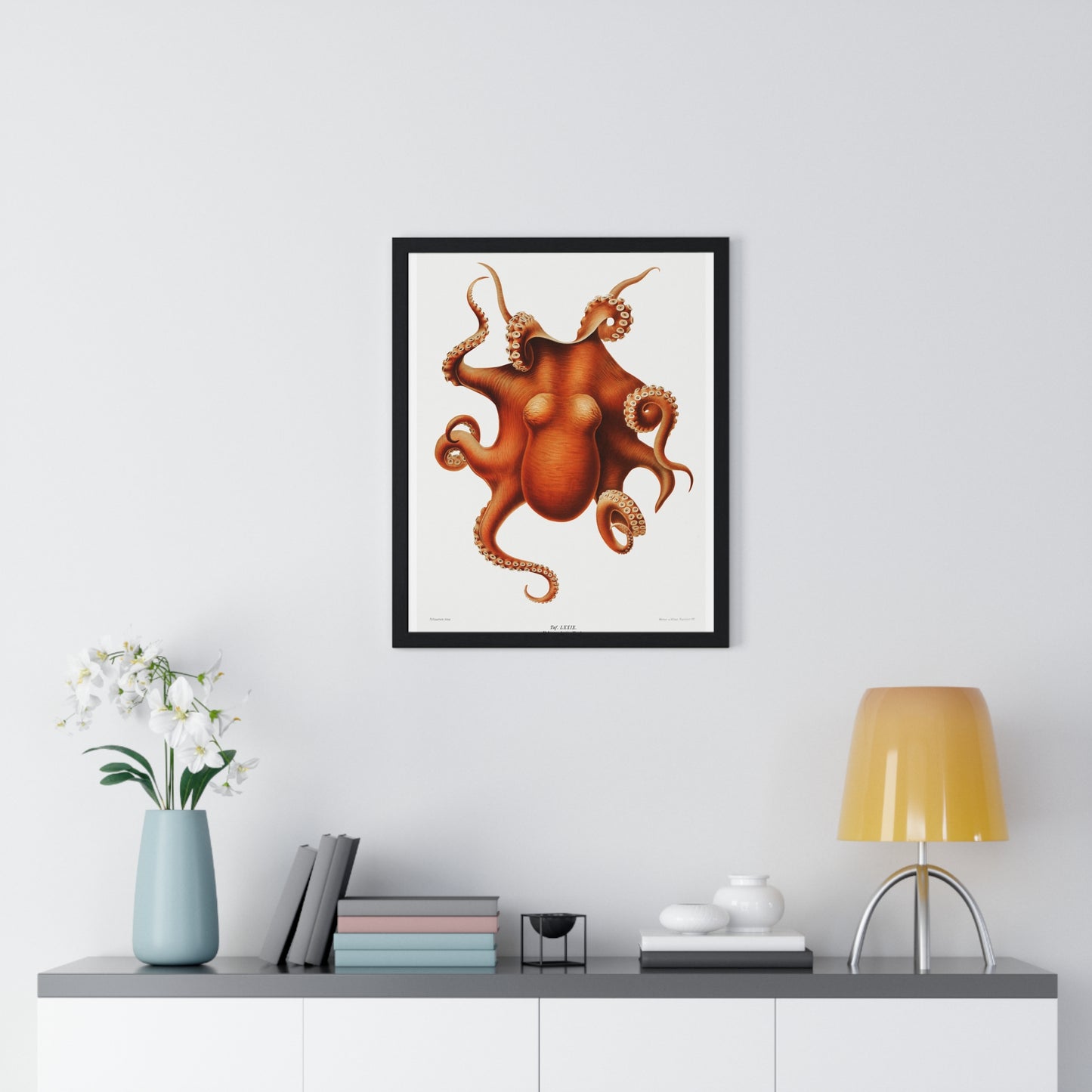 Octopus illlustration from Deutschen Tiefsee-Expedition, German Deep Sea Expedition (1898–1899) by Carl Chun. Framed Poster